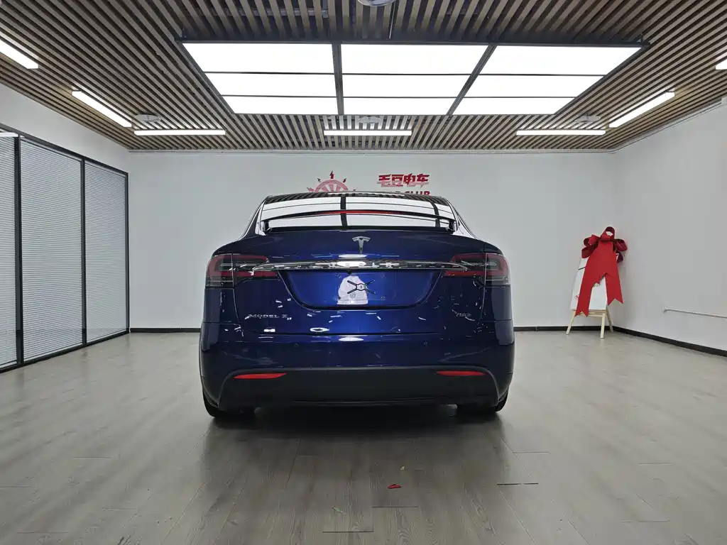 Tesla Model X 2017 — фото 7