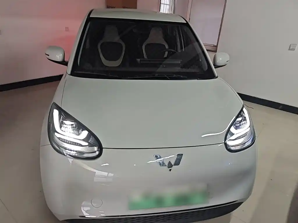 Wuling Bingo 2024