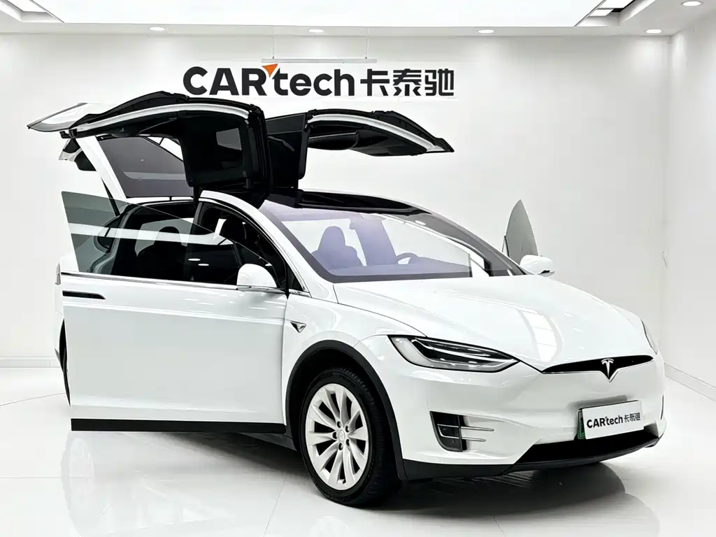 Tesla Model X 2020 — фото 8