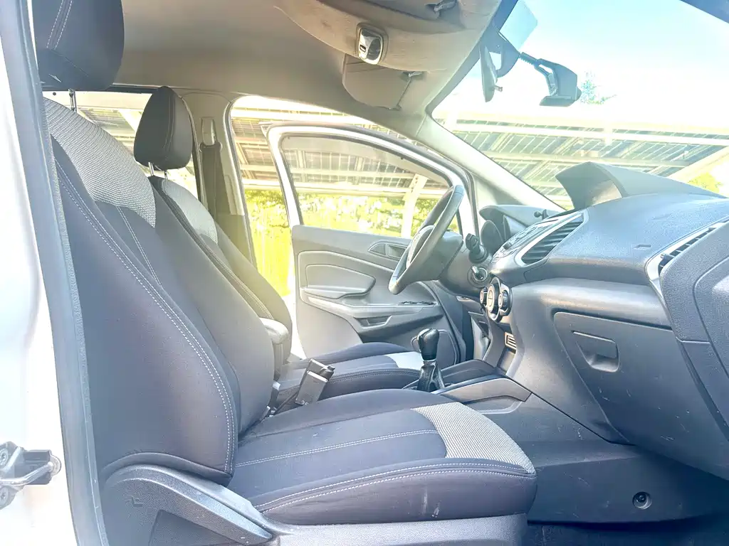 Ford Ecosport 2016 — фото 13