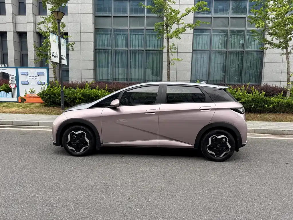 BYD Dolphin 2022
