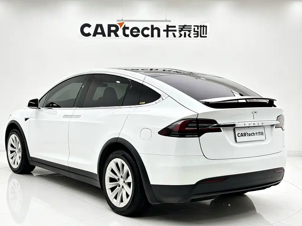 Tesla Model X 2020 — фото 6