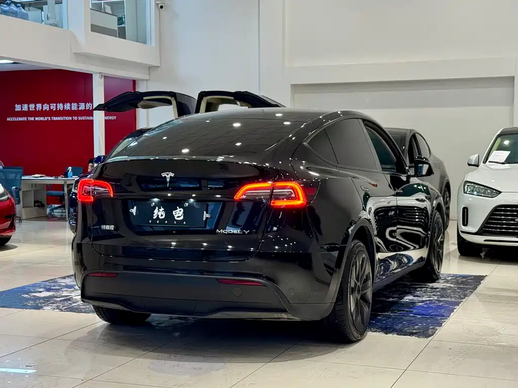 Tesla Model Y 2021 — фото 16