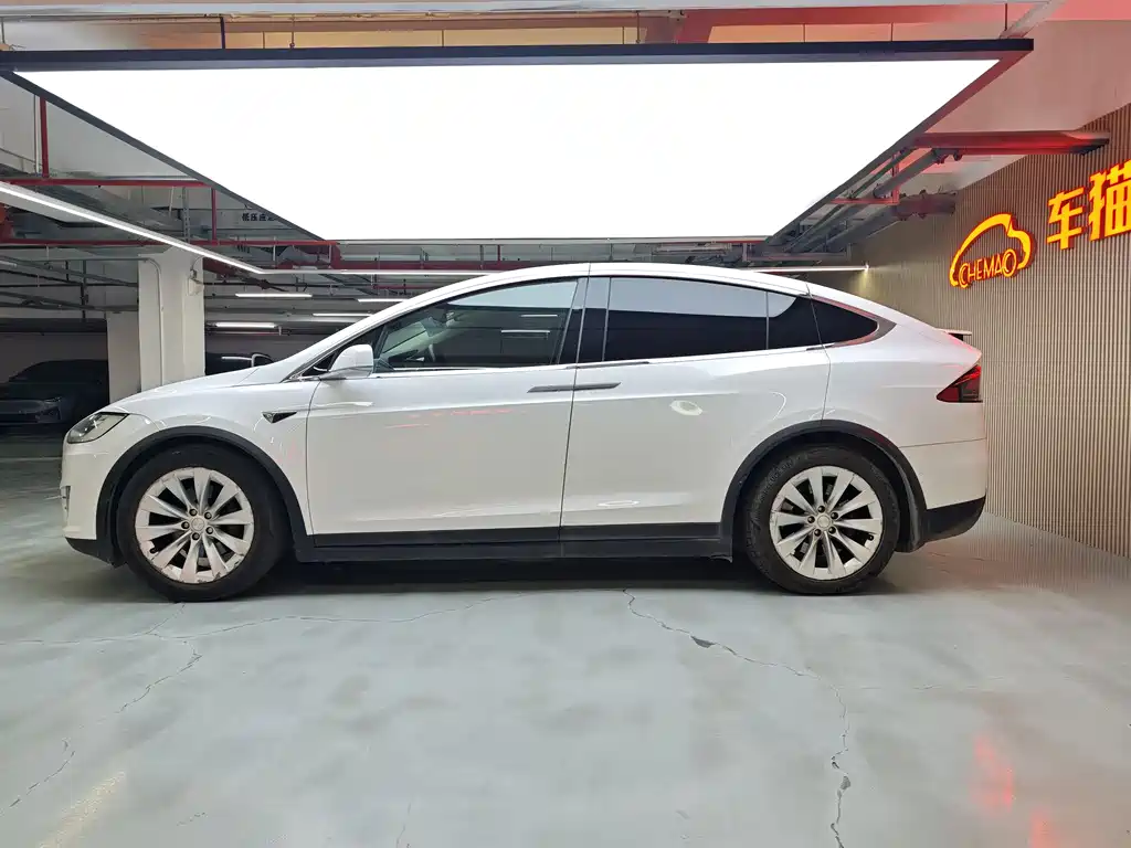 Tesla Model X 2017 — фото 6