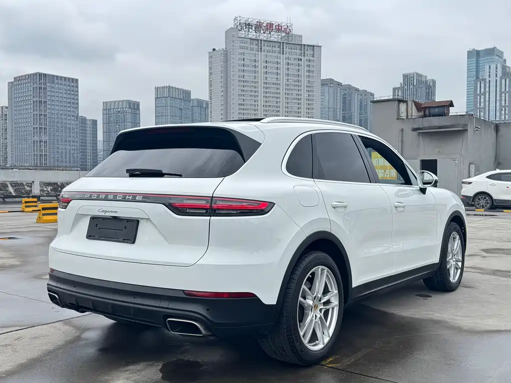 Porsche Cayenne 2020 — фото 16