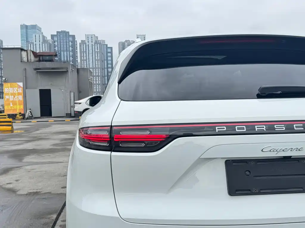 Porsche Cayenne 2020 — фото 18