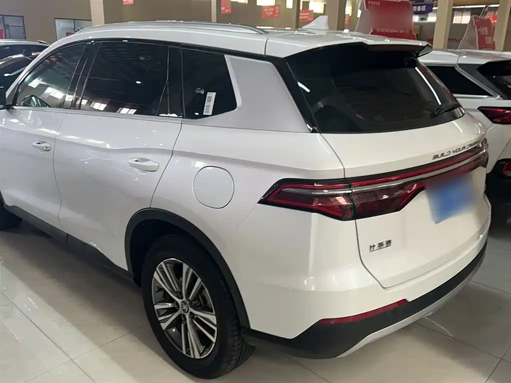 BYD Pro 2020 — фото 13