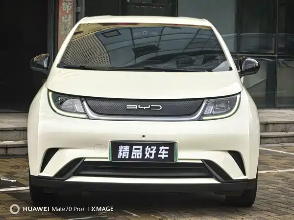 BYD Dolphin 2023