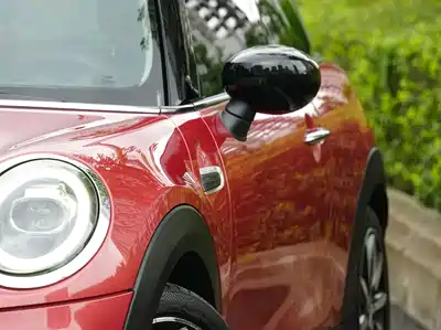 MINI MINI 2020