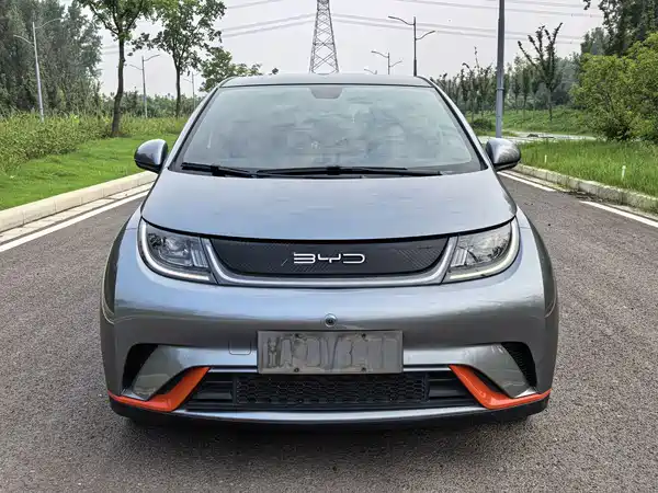 BYD Dolphin 2022