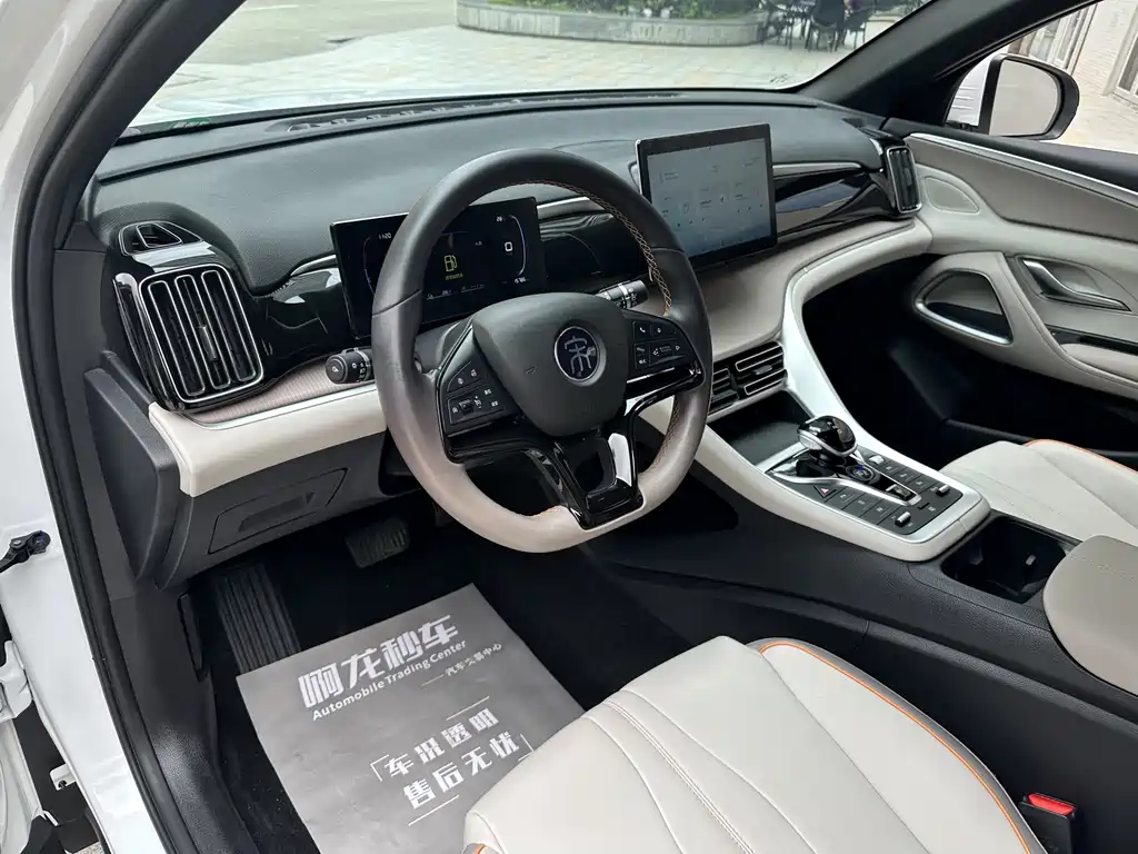 BYD Pro New Energy 2023 — фото 14