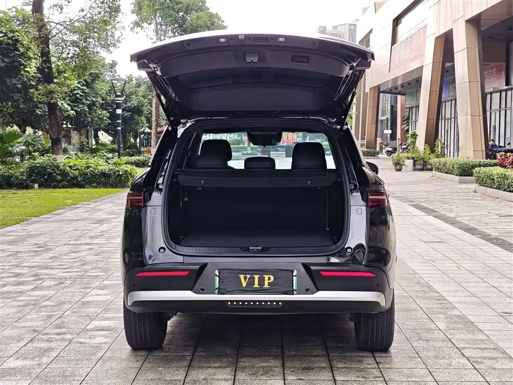 BYD Song Pro New Energy 2025 — фото 12