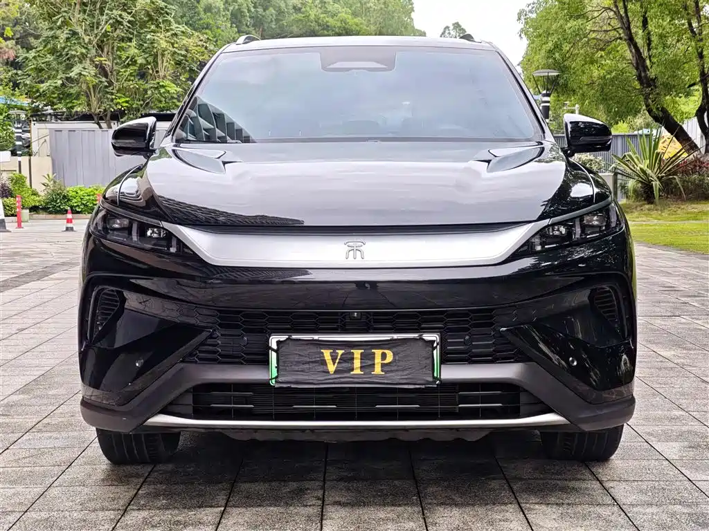 BYD Song Pro New Energy 2025 — фото 2