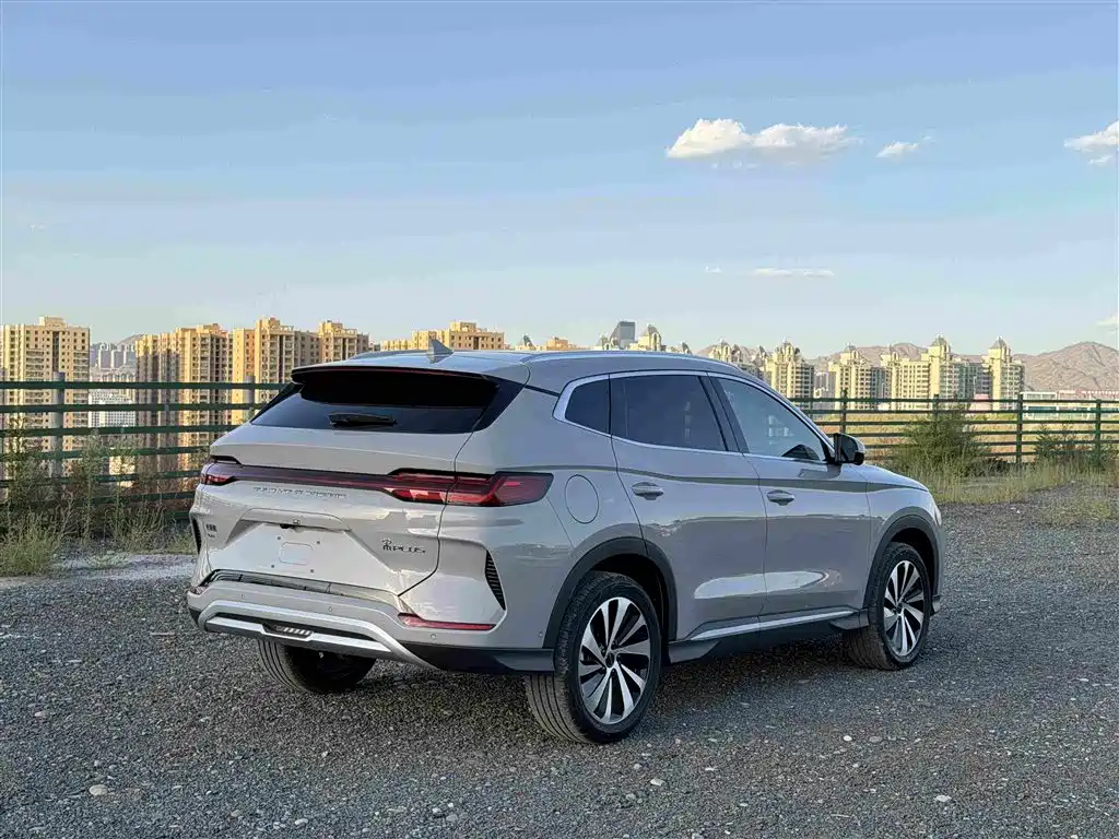 BYD Song PLUS New Energy 2024 — фото 4