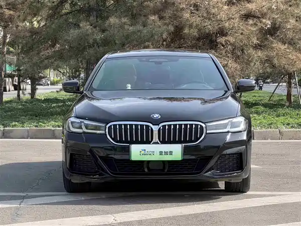 BMW 5 Series New Energy 2022
