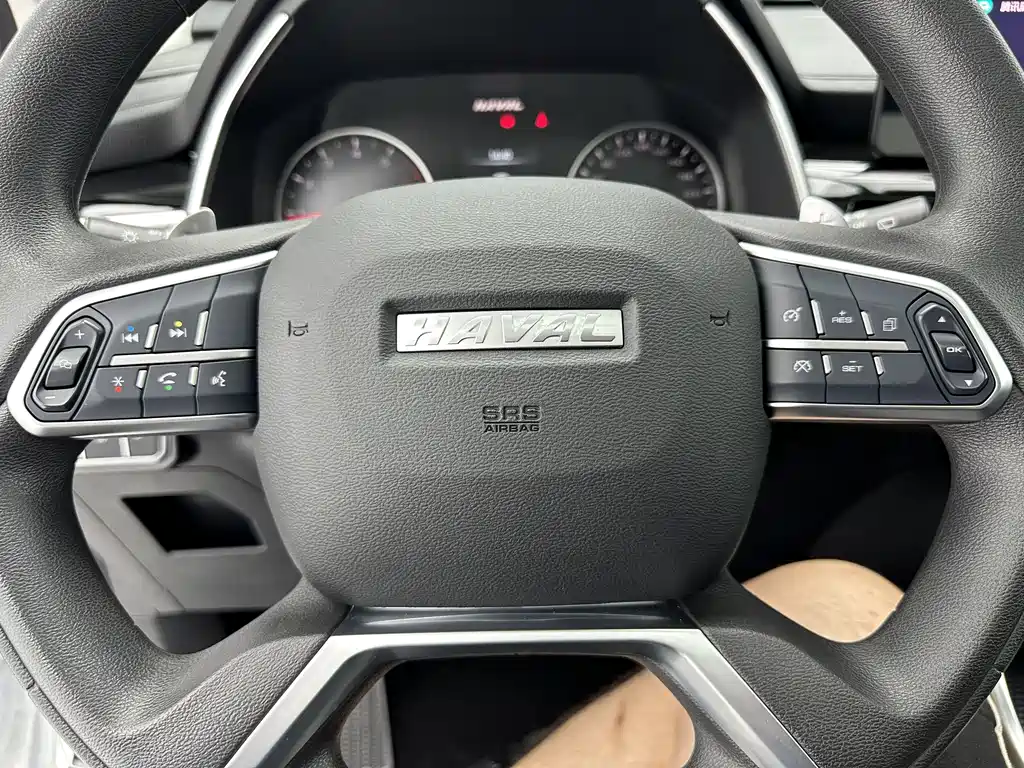 Haval H6 2023 — фото 15
