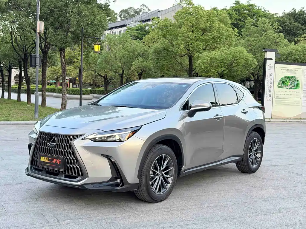 Lexus NX 2025 — фото 1