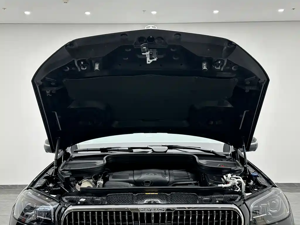 Mercedes-Benz GLS 2022 — фото 27