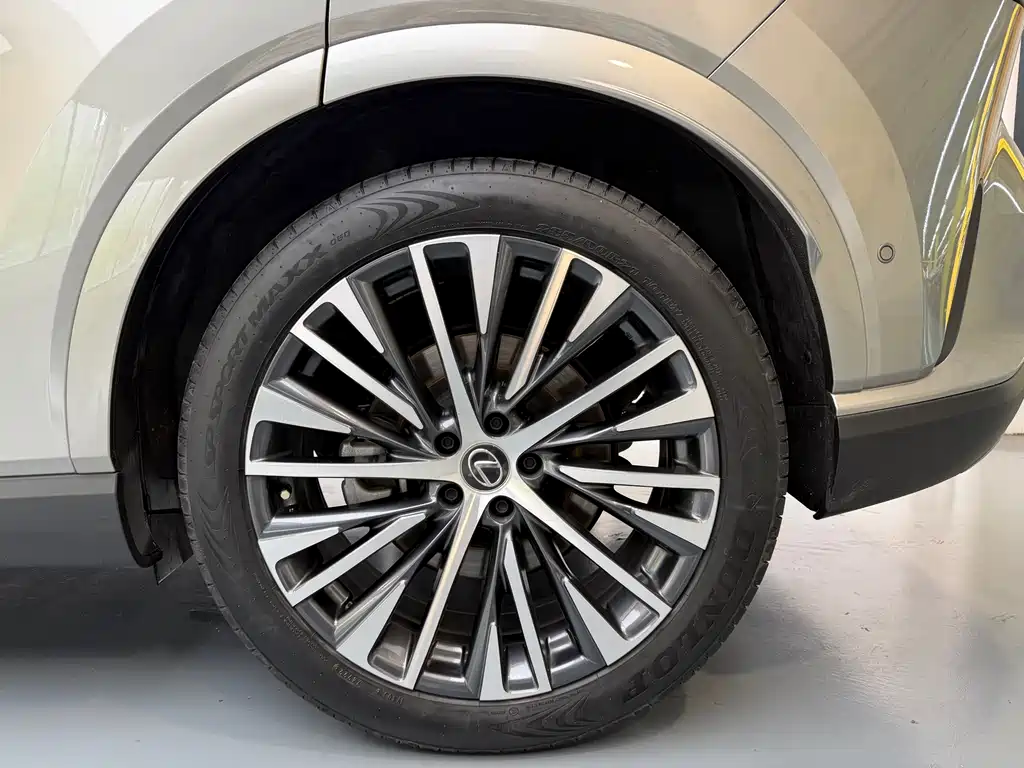 Lexus RX New Energy 2023 — фото 15
