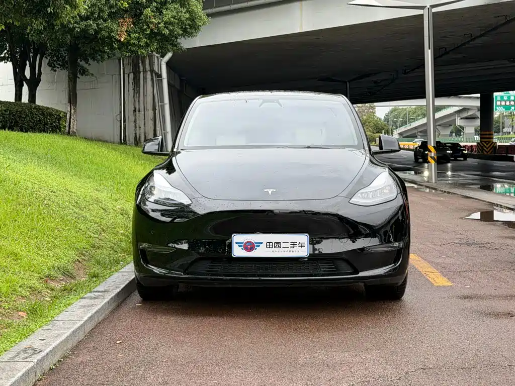 Tesla Model Y 2023 — фото 2