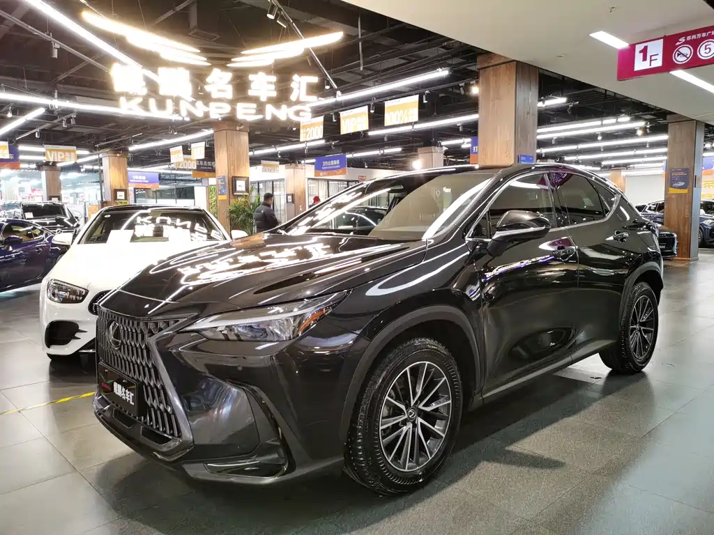 Lexus NX 2023 — фото 1