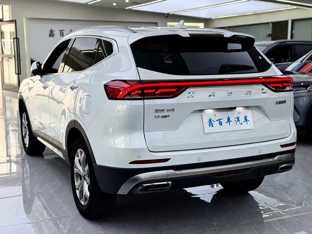 Haval H6 2023 — фото 10