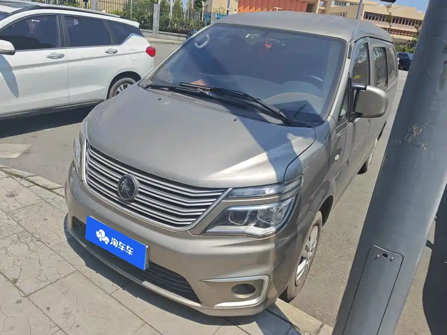 Fengxing Lingzhi 2021
