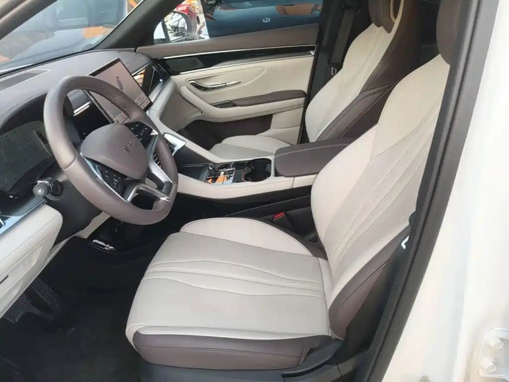 BYD Song PLUS New Energy 2025 — фото 15