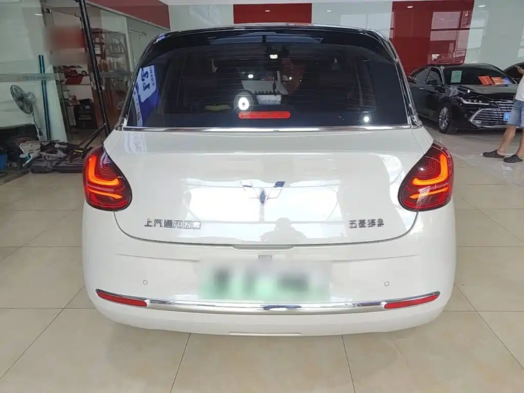 Wuling Bingo 2024