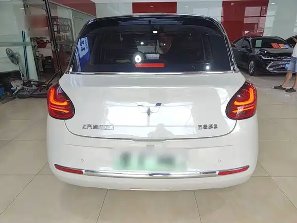 Wuling Bingo 2024