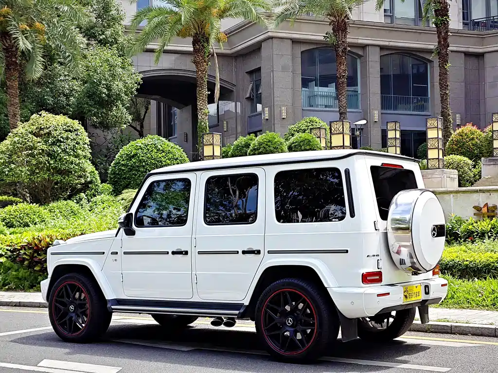 Mercedes-Benz G-Class 2019 — фото 21