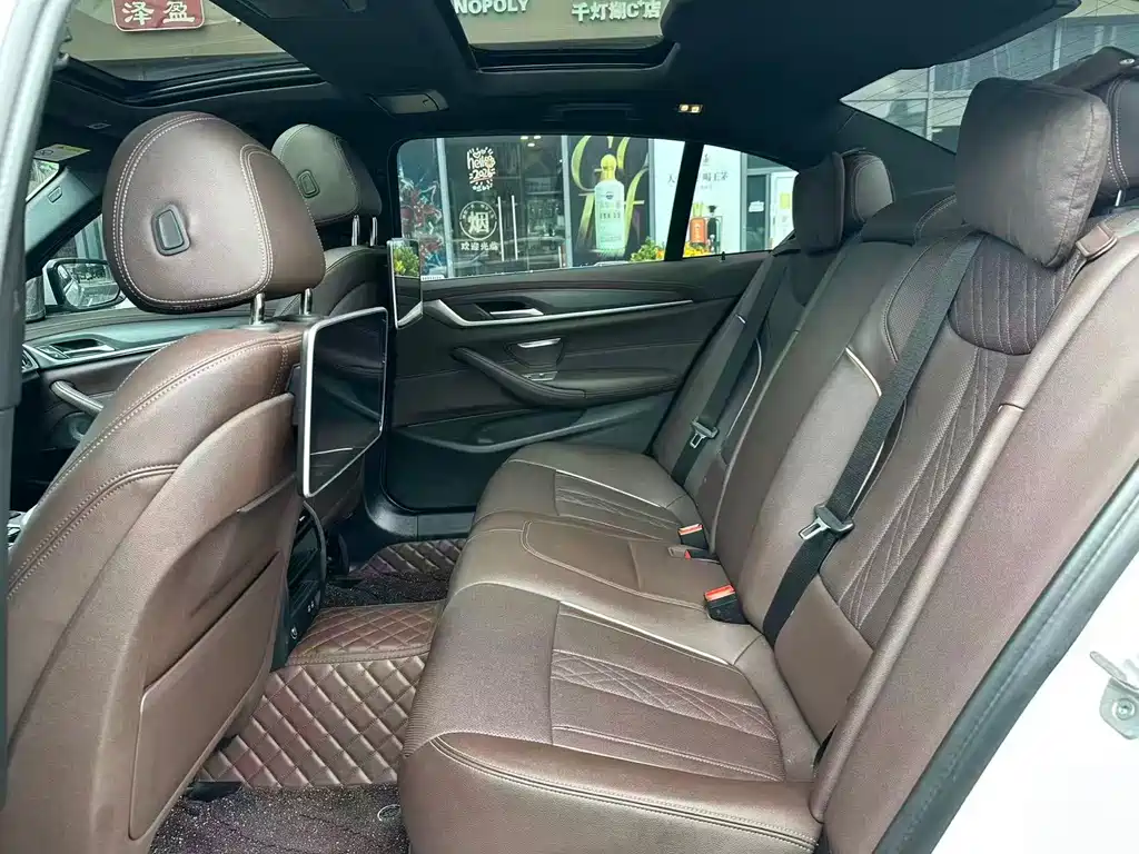 BMW 5 Series New Energy 2021