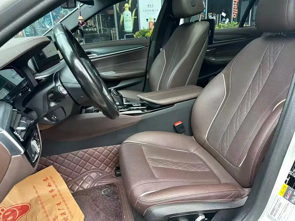 BMW 5 Series New Energy 2021
