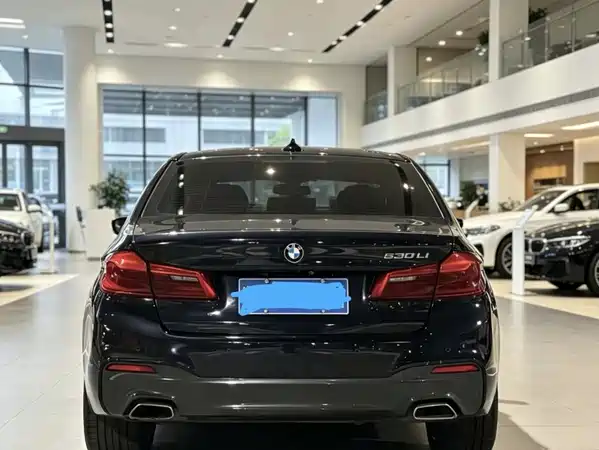 BMW 5 Series 2019