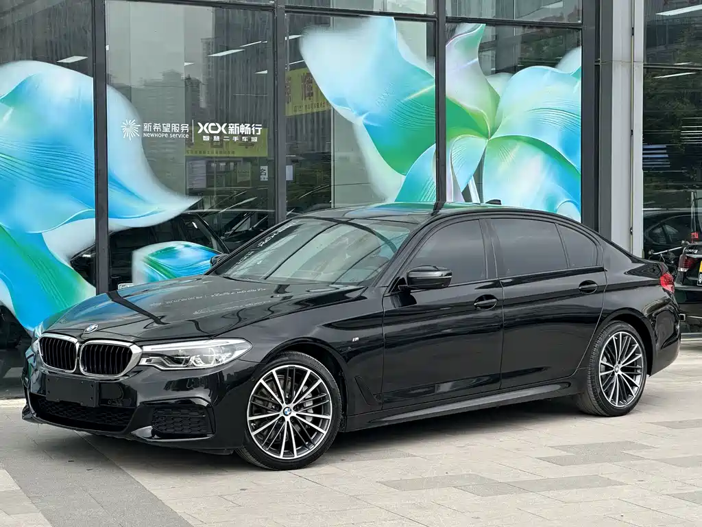 BMW 5 Series 2019