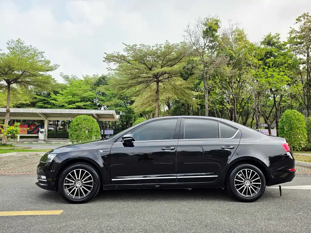 Skoda Octavia 2019 — фото 15