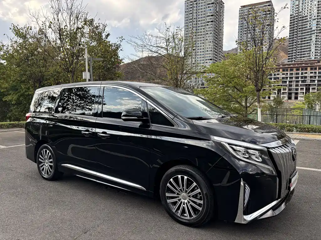 GAC Motor Trumpchi M8 2022 — фото 3