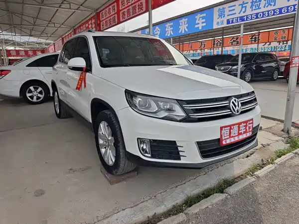 Volkswagen Tiguan 2013