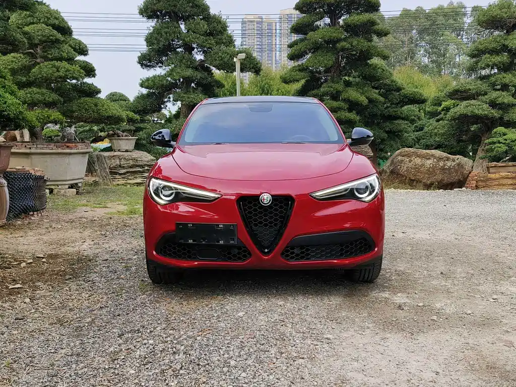 Alfa Romeo Stelvio 2019 — фото 2