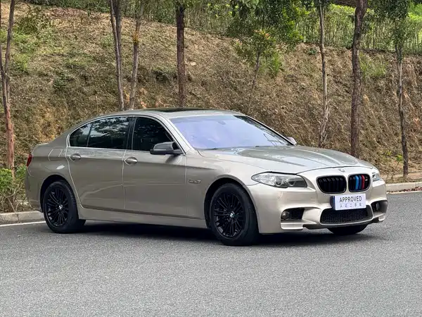 BMW 5 Series 2014