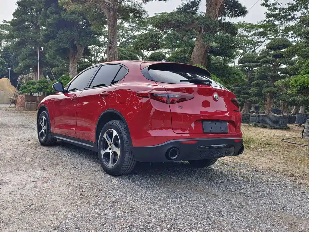 Alfa Romeo Stelvio 2019 — фото 17