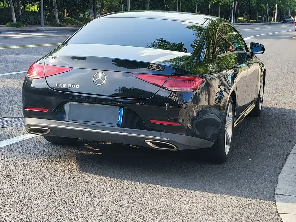 Mercedes-Benz CLS 2019 — фото 16