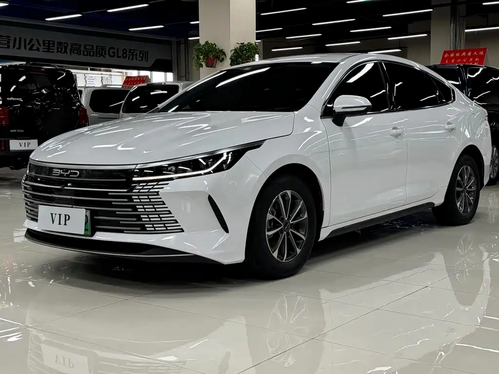 BYD Destroyer 05 2024 — фото 1