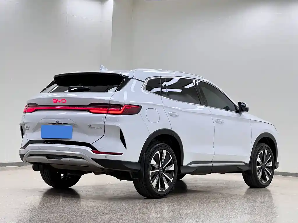 BYD PLUS New Energy 2024 — фото 7