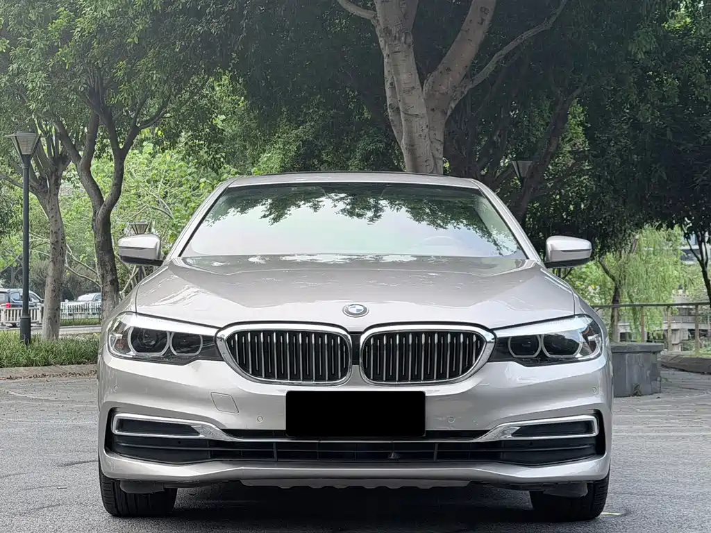 BMW 5 Series 2019