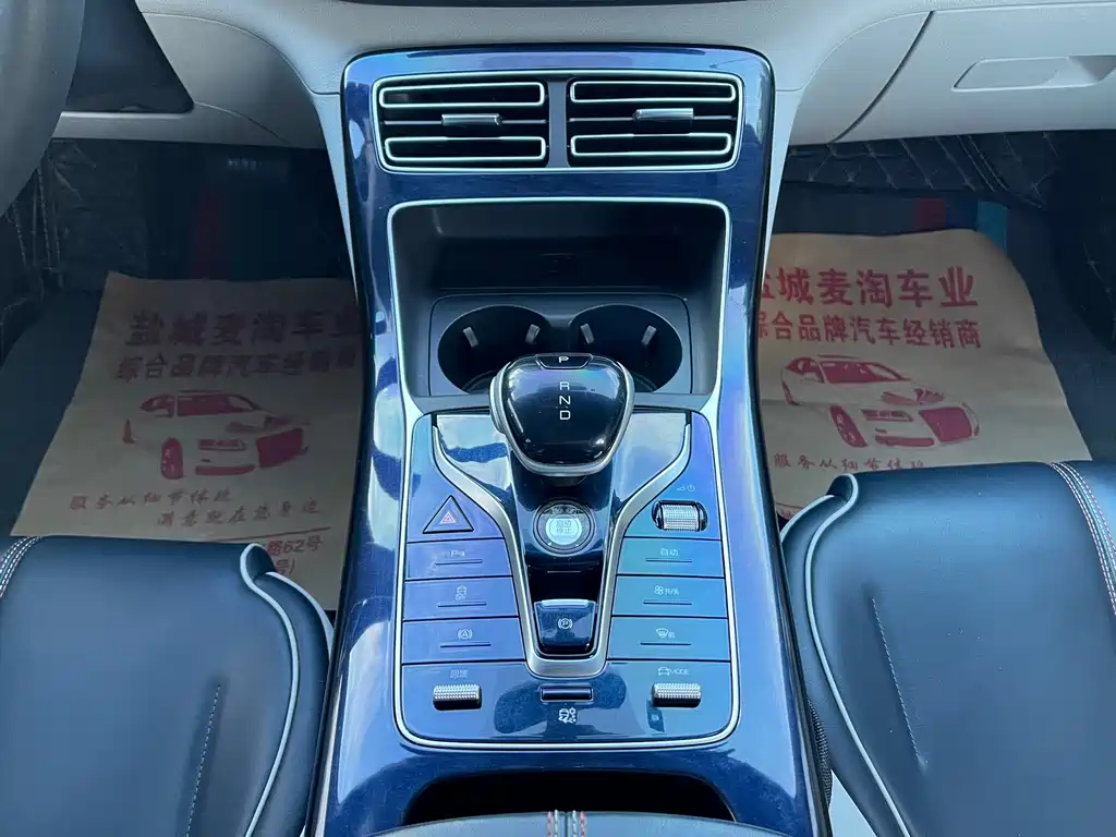 BYD Qin PLUS 2021 — фото 13