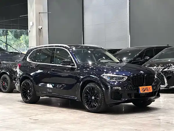 BMW X5 2019