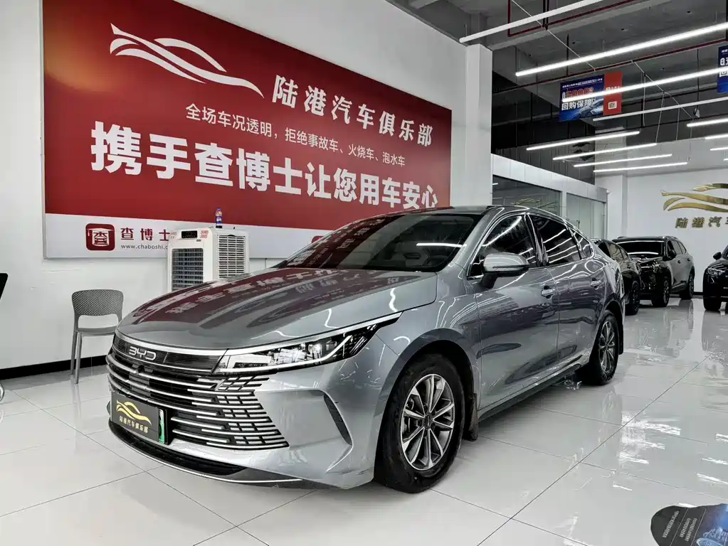 BYD Destroyer 05 2024