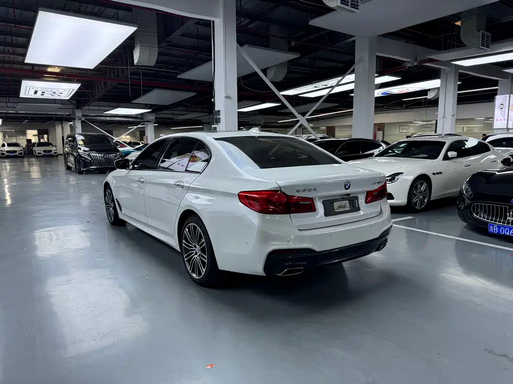 BMW 5 Series 2018 — фото 11
