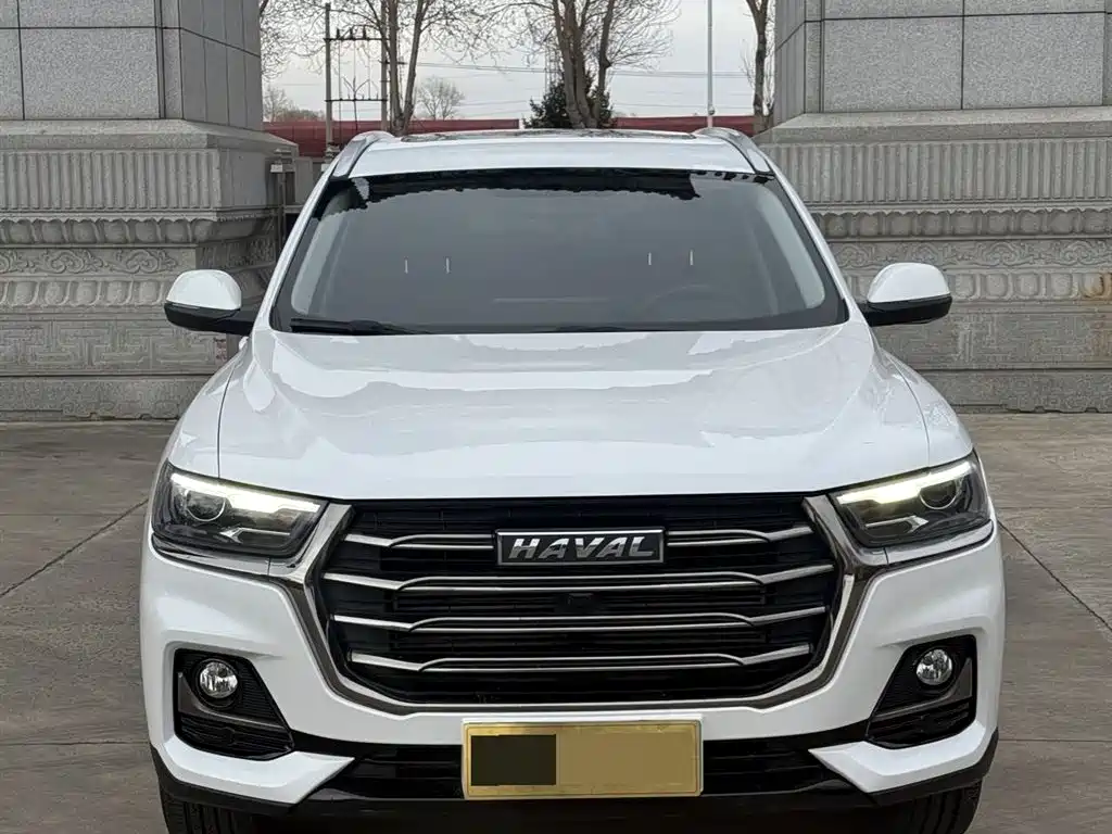 Haval H6 2021 — фото 2